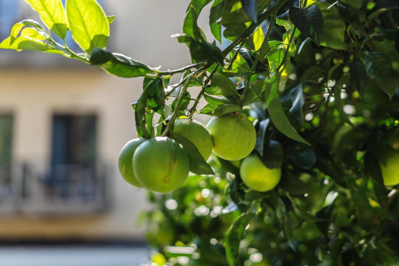 Hotel Capri (Adults Only) Sorrento Esterno foto